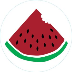 Bogg® Bits – Watermelon